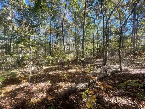 Unrestricted Land in Westminster, SC