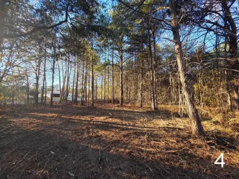Four Acre Wooded Homesite