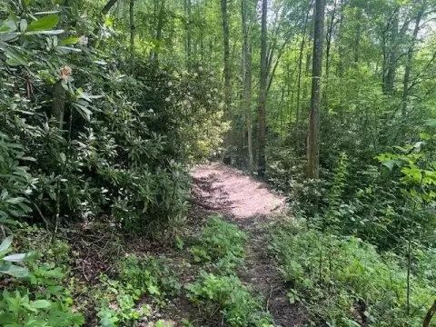 30 Acres Near New River Gorge