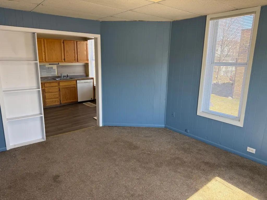 Picture 5