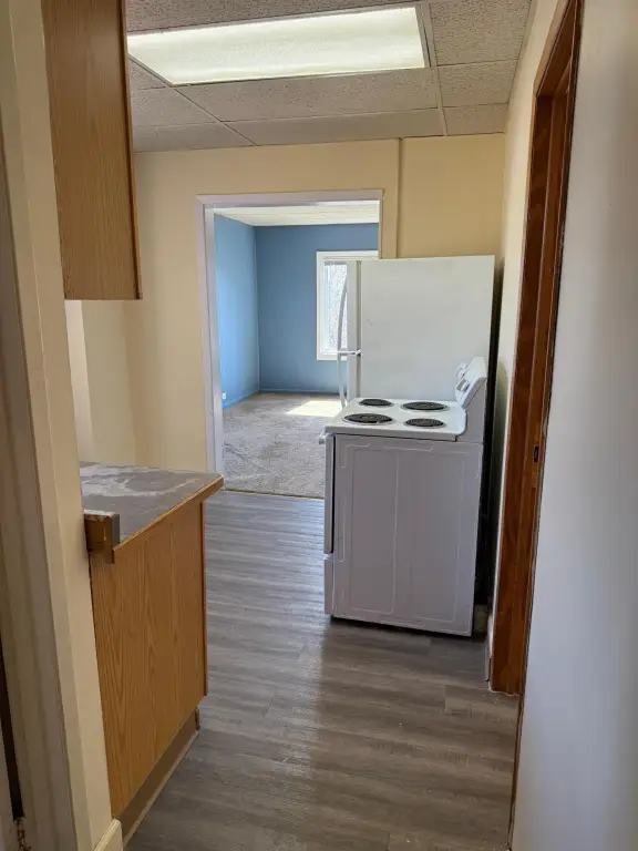 Picture 15