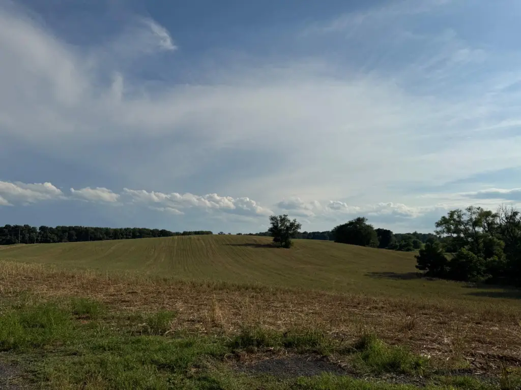 Picture 29