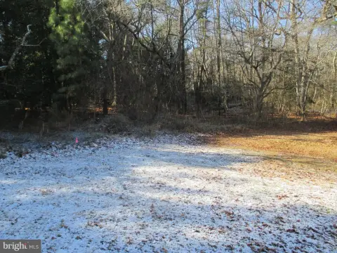 Land on Bunting Road, Dagsboro