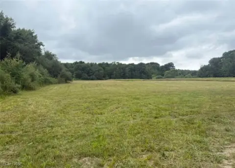 Ashtabula Land with Private Clearing