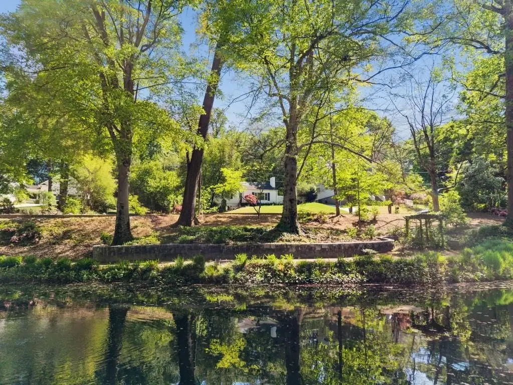Picture 7