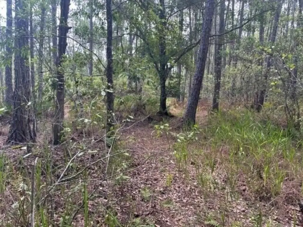 Picture 3