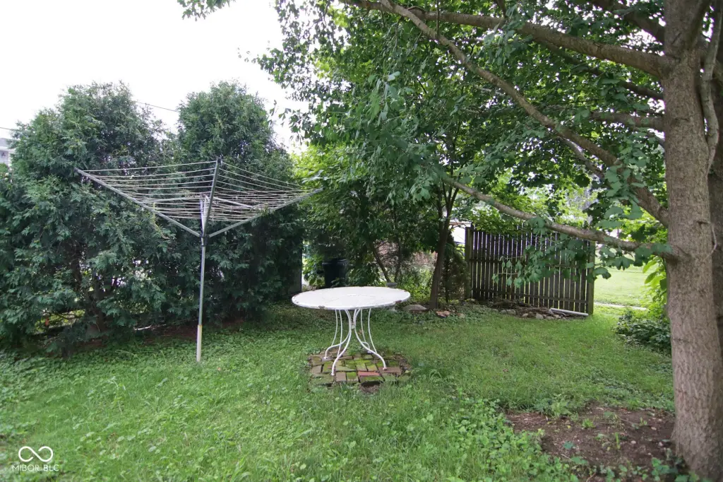 Picture 16