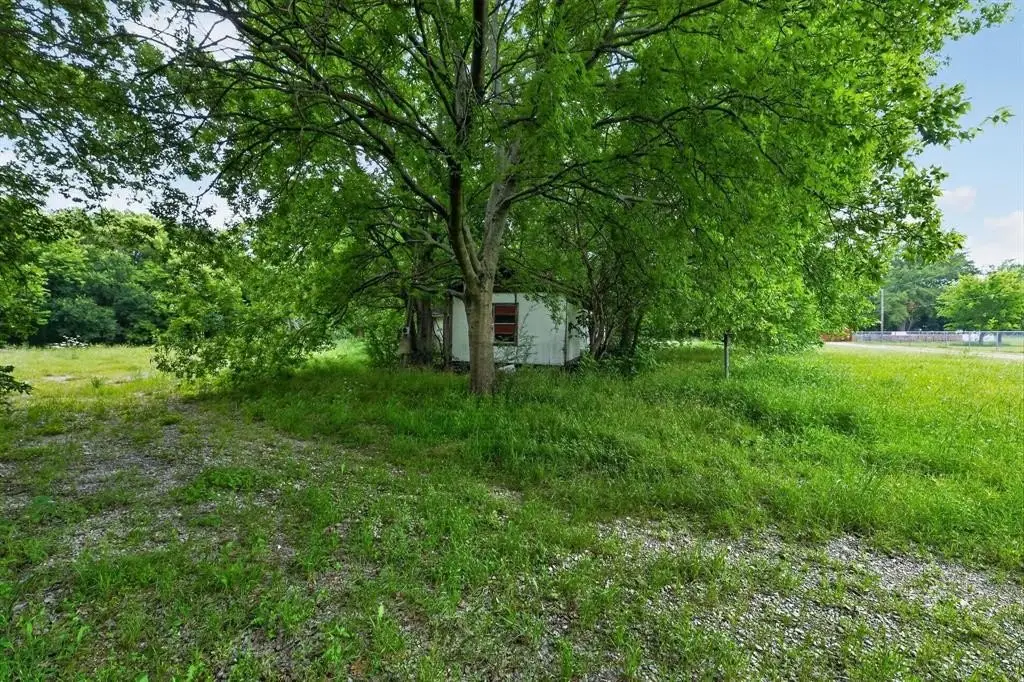 Picture 25