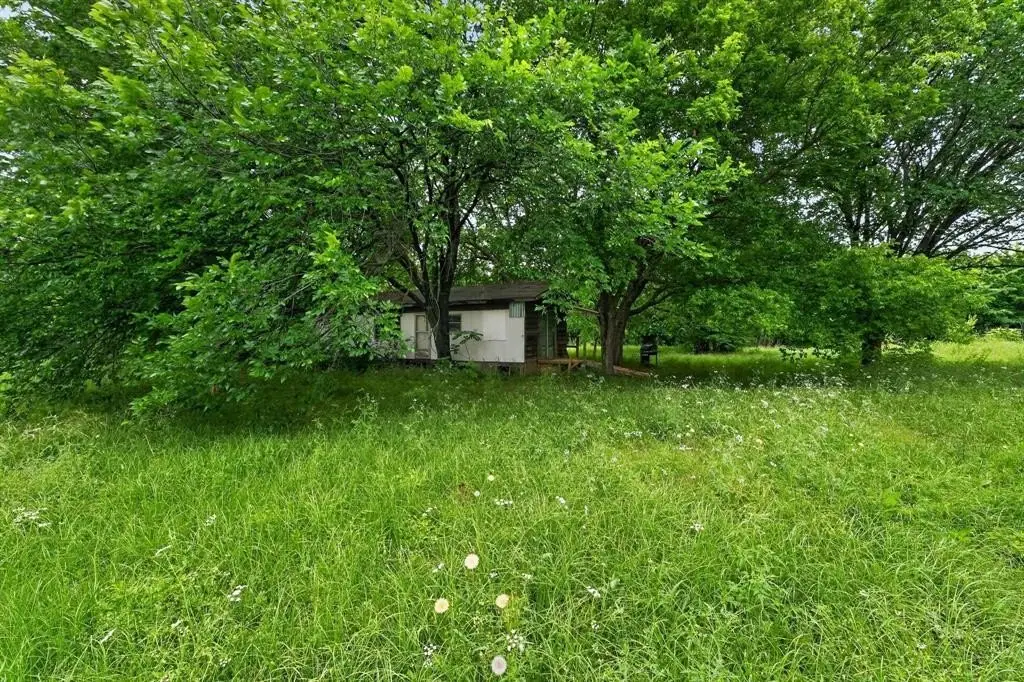 Picture 28