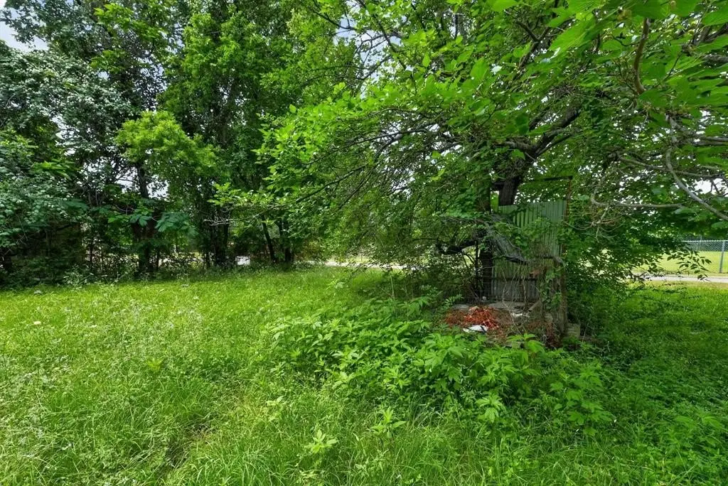 Picture 22
