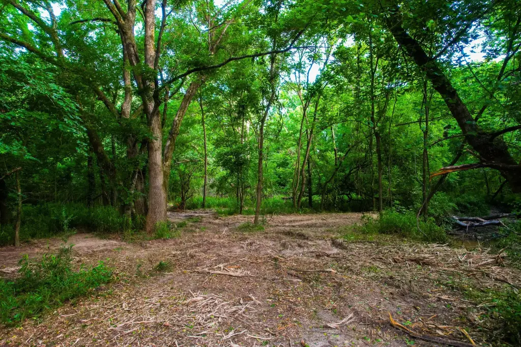 Picture 35