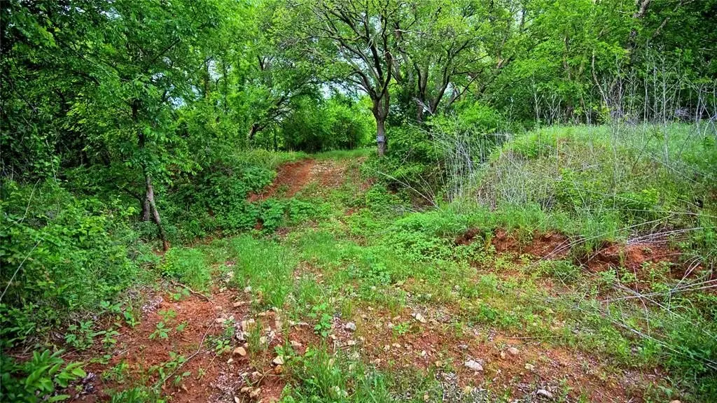 Picture 28