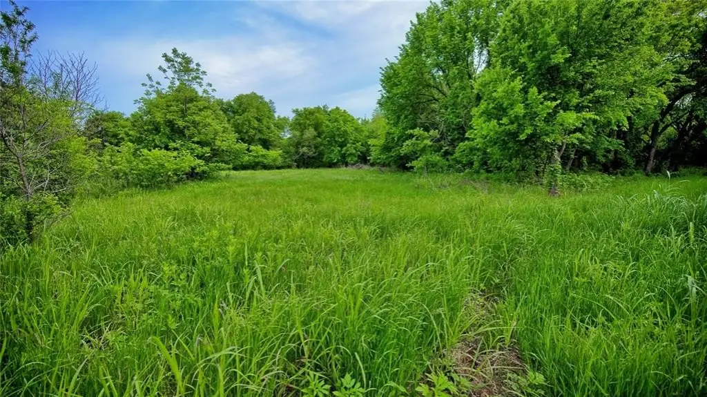 Picture 17
