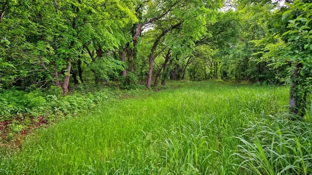 Picture 3