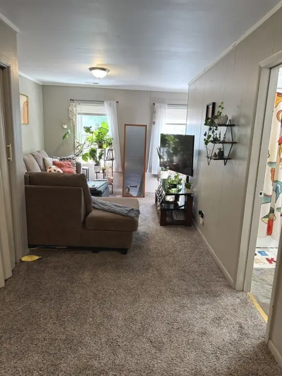 Picture 15