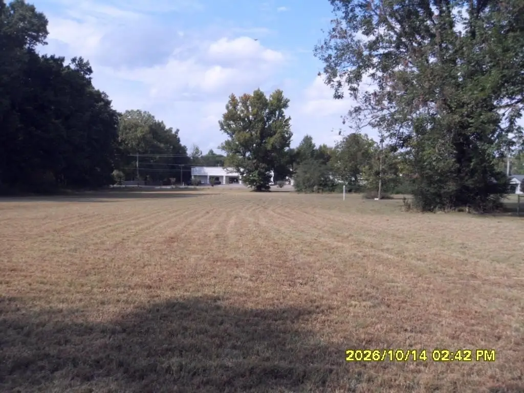 Picture 23