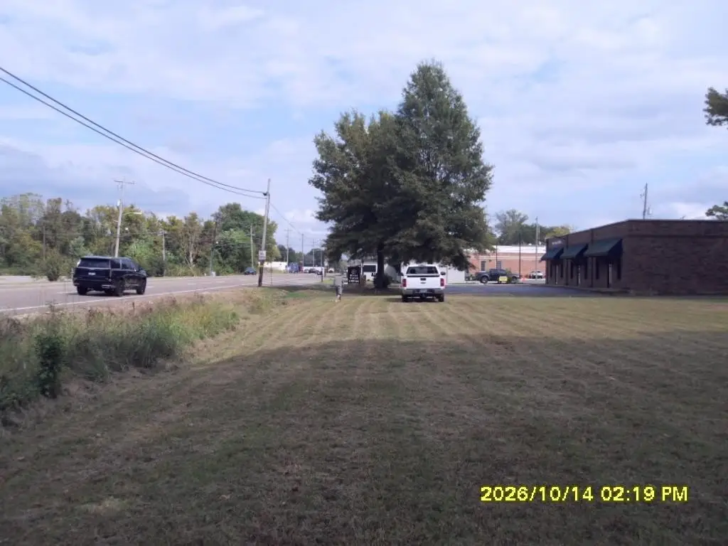 Picture 11