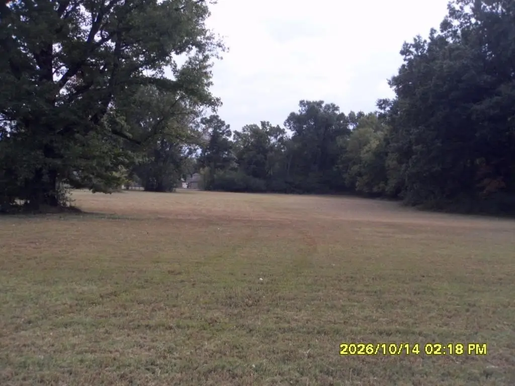 Picture 8