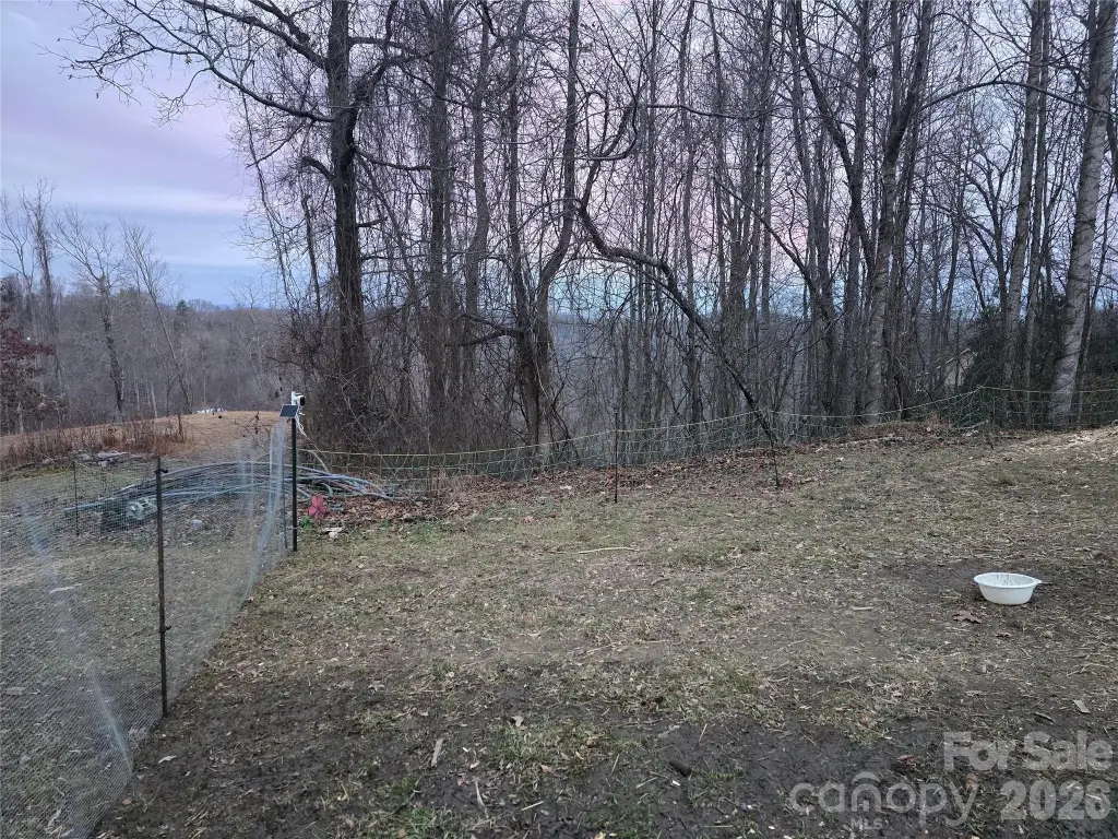 Picture 3