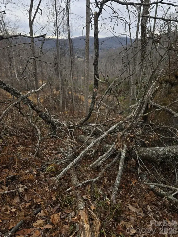 Picture 19