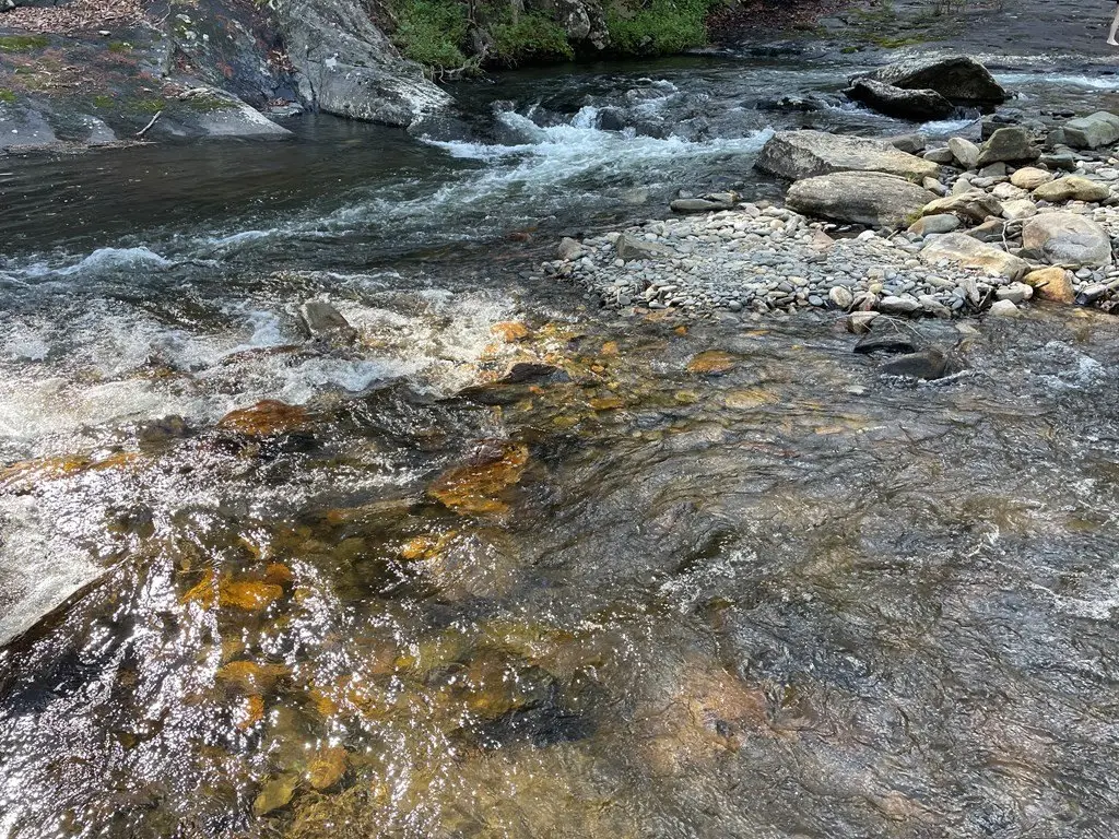 Picture 14