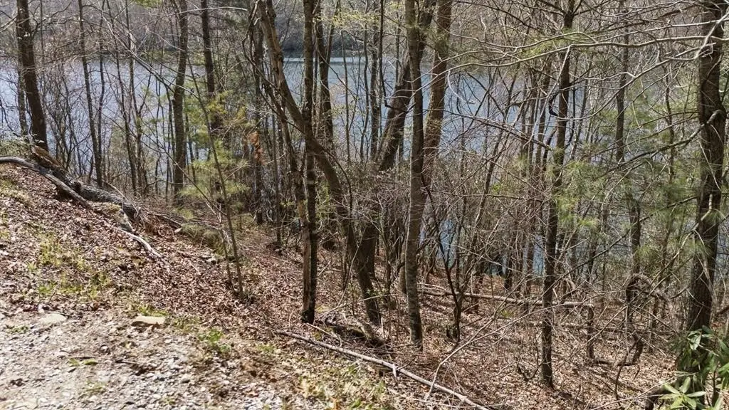 Picture 23