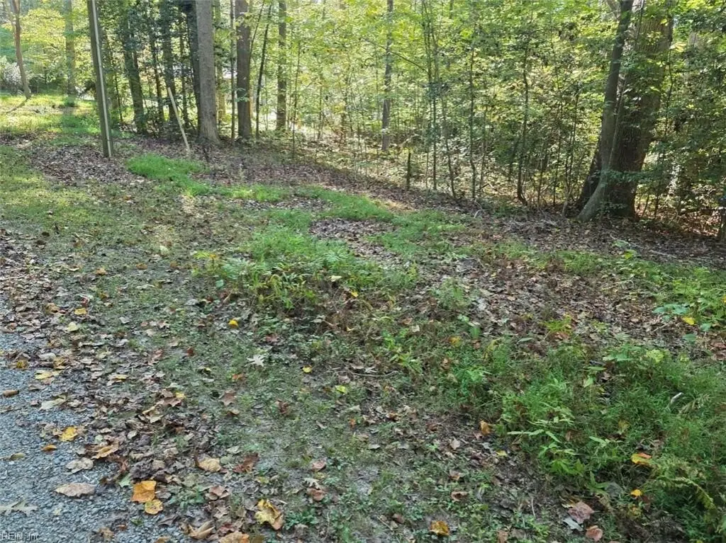 Picture 2