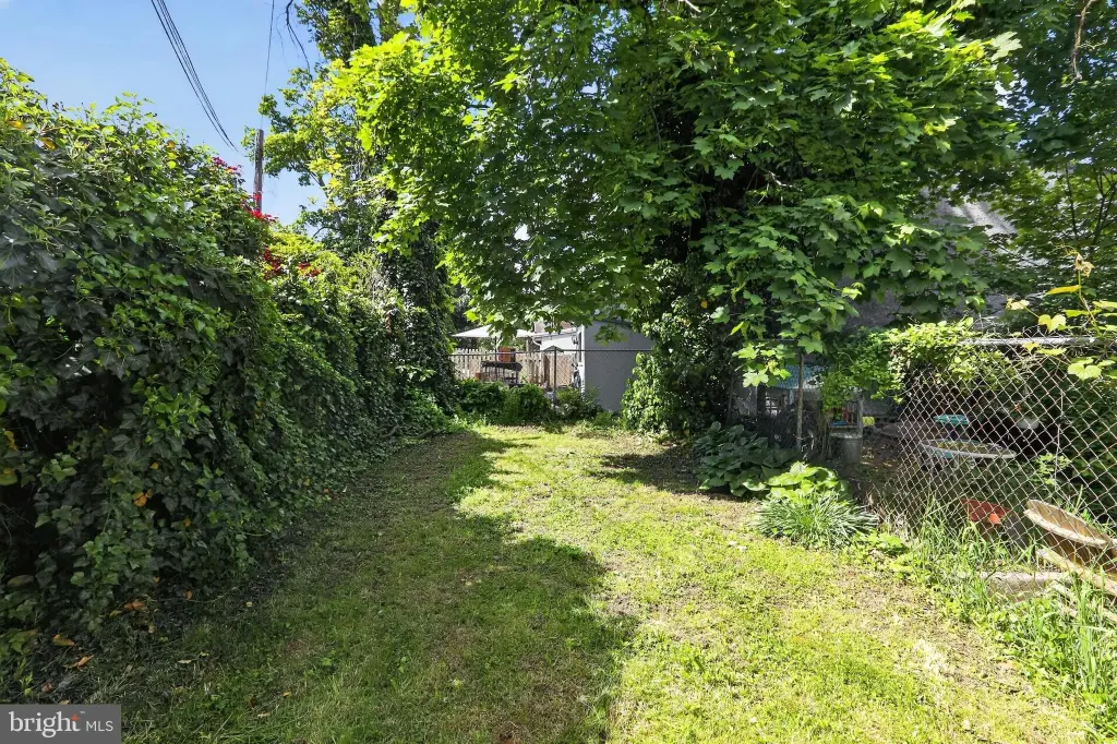 Picture 45