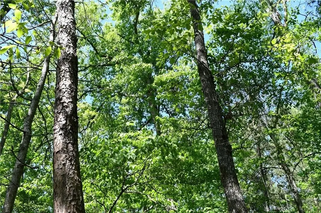 Picture 27