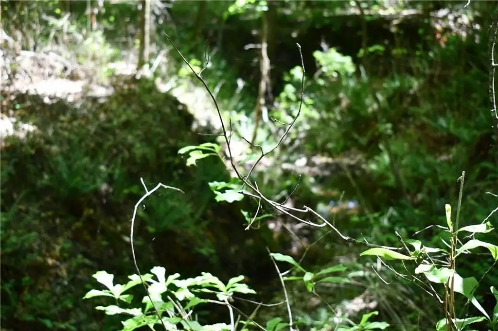 Picture 15