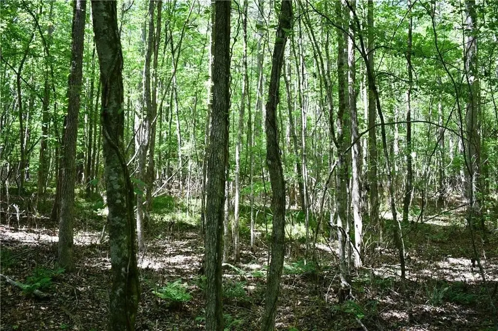 Picture 13