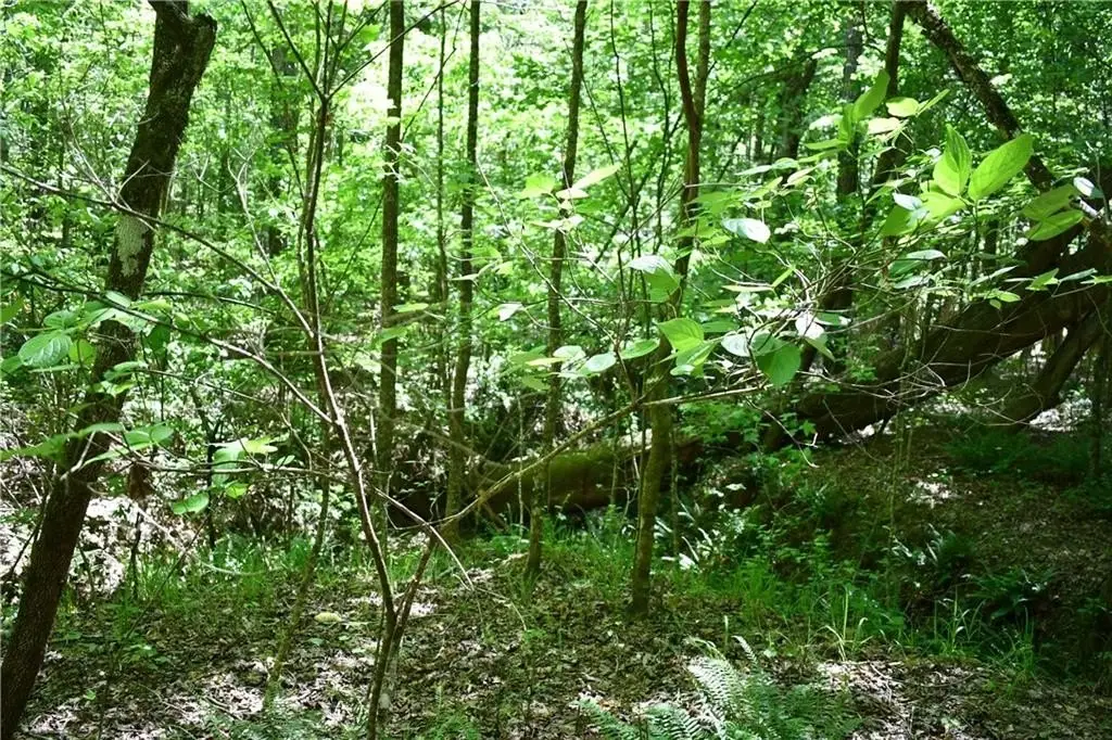 Picture 4