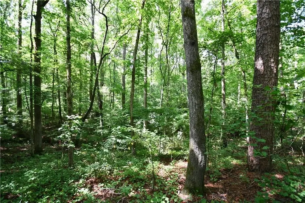 Picture 17