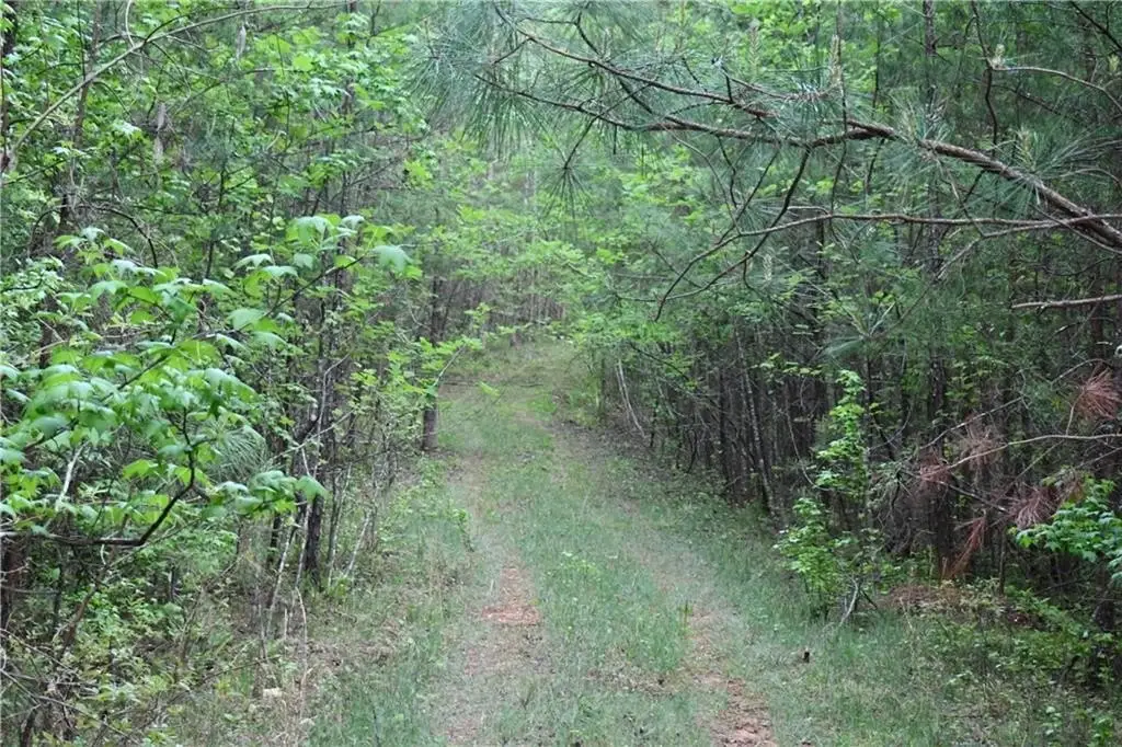Picture 23