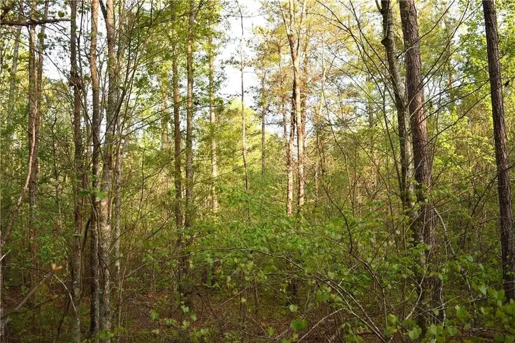 Picture 14