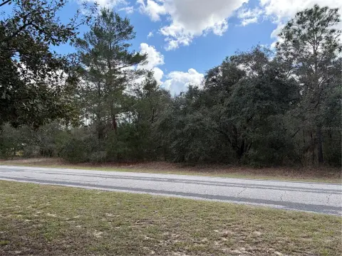 Pine Ridge Equestrian Homesite