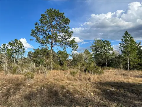 Two Acres in Williston, Florida