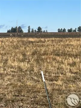 Roundup, MT - 3 Acre Land