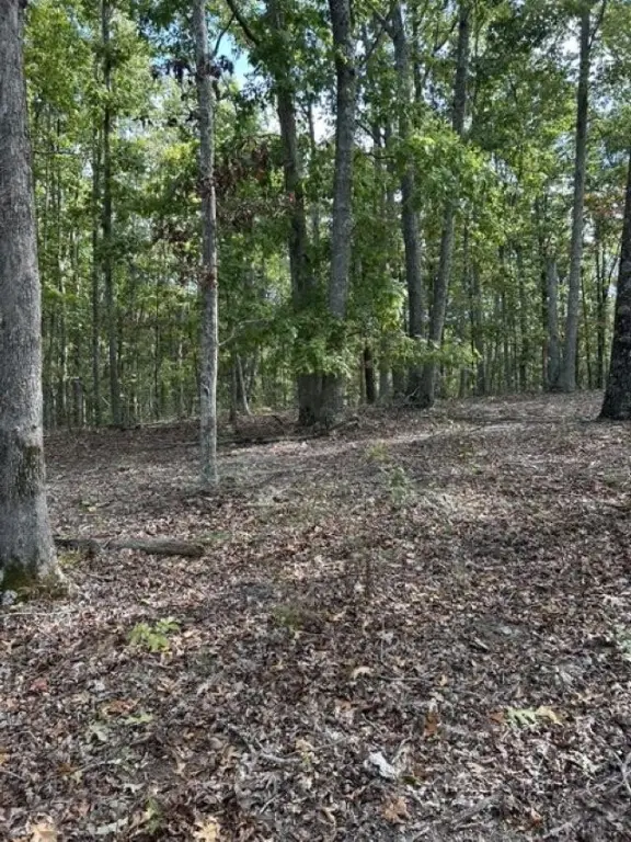 Picture 21