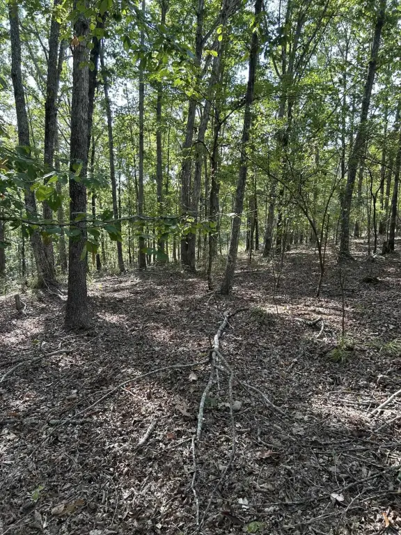 Picture 15