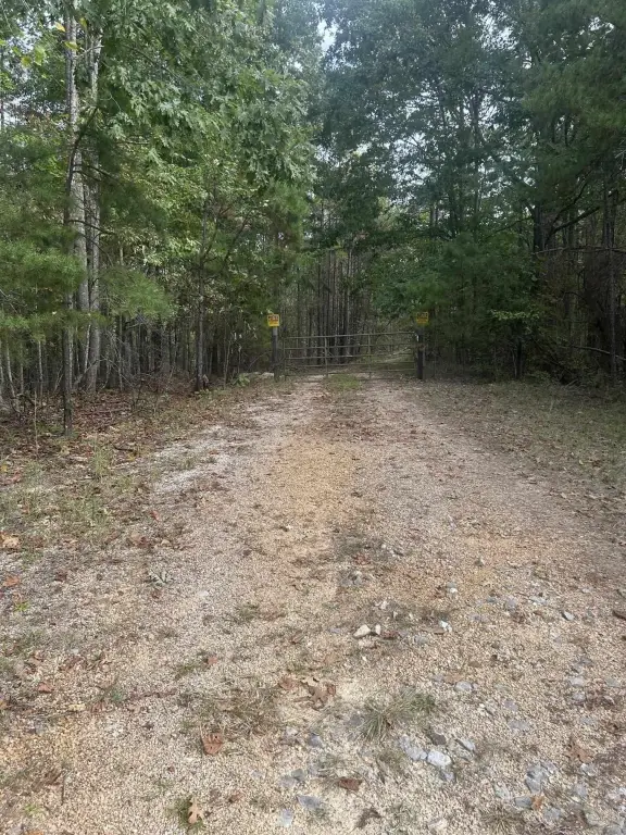 Picture 4