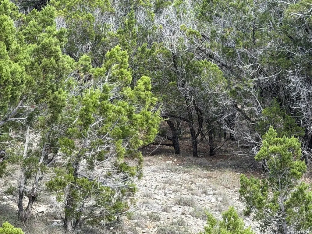 Picture 14