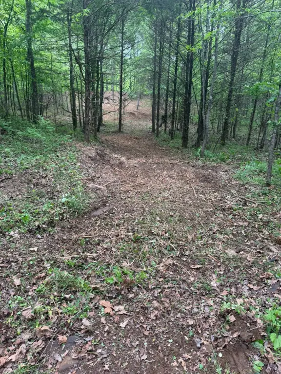 Picture 5