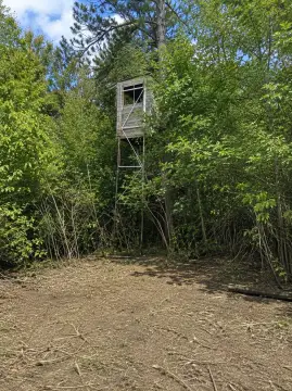 Hunting Land with Deer Stands