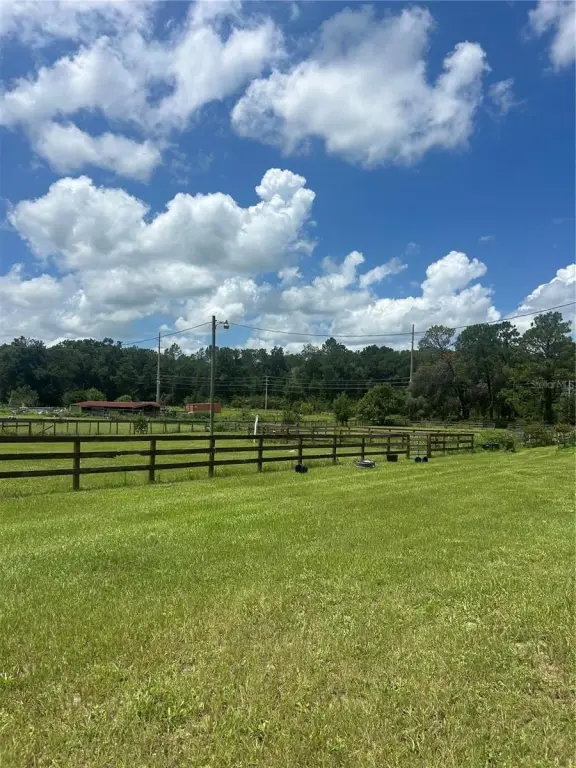 Picture 20