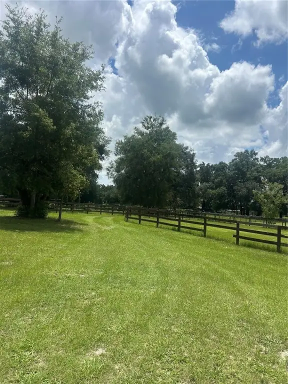 Picture 19