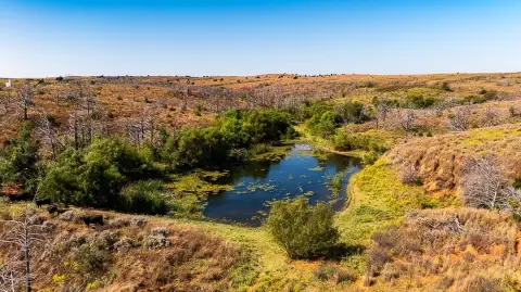 320 Acres of Pasture Land