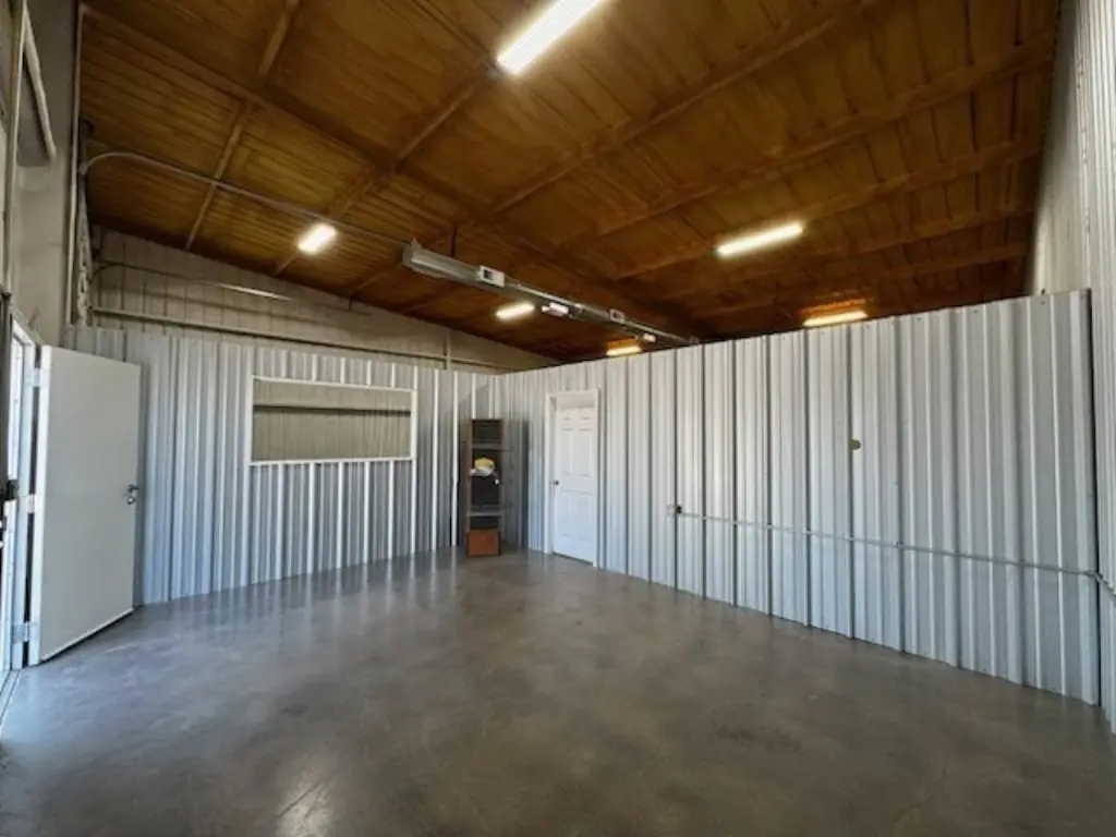 Picture 5