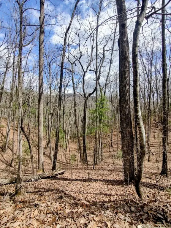 Picture 31