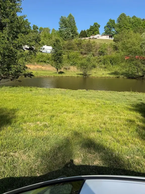 Picture 2